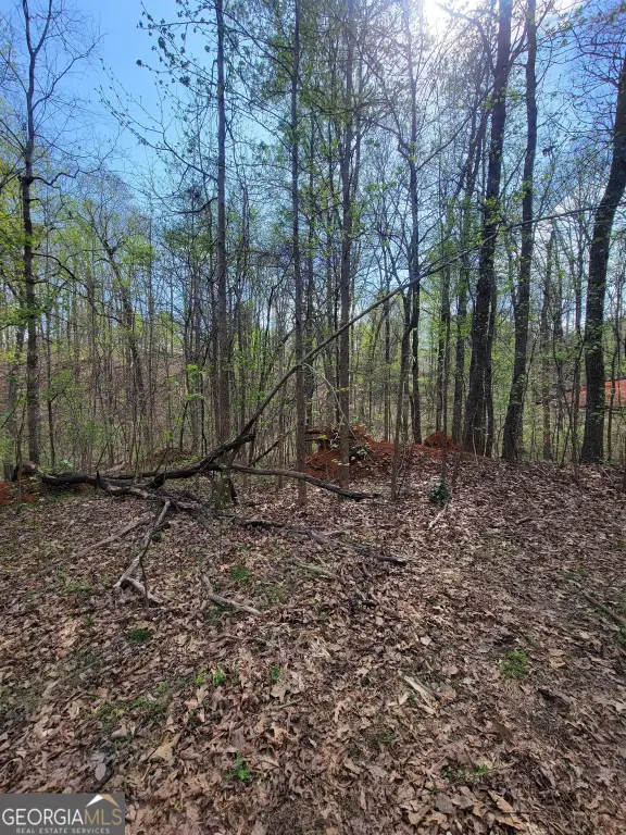 Picture 2