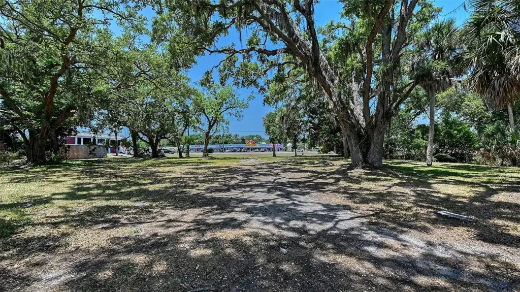 Picture 12