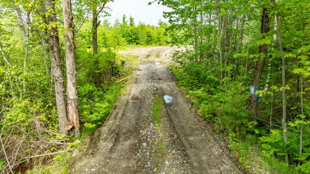Picture 15