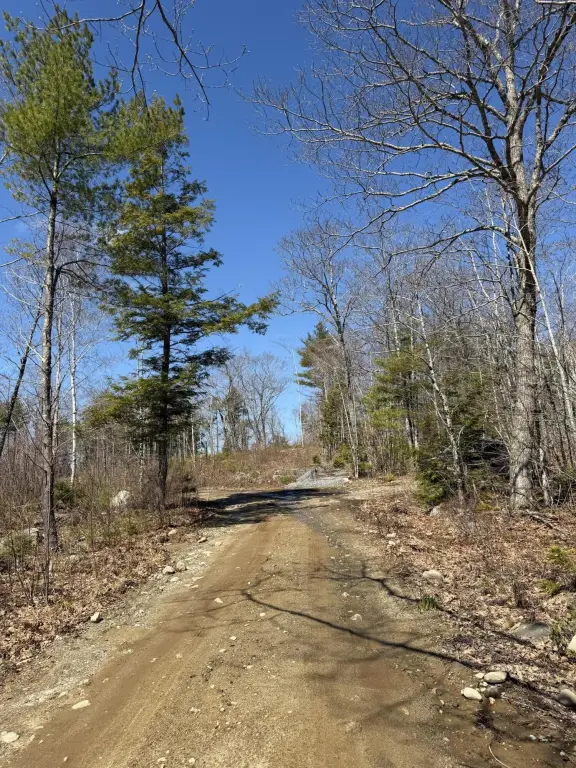 Picture 16
