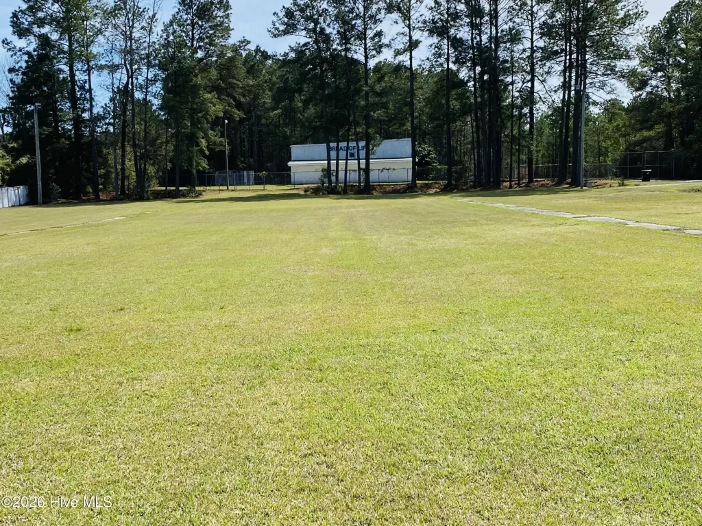 Picture 21