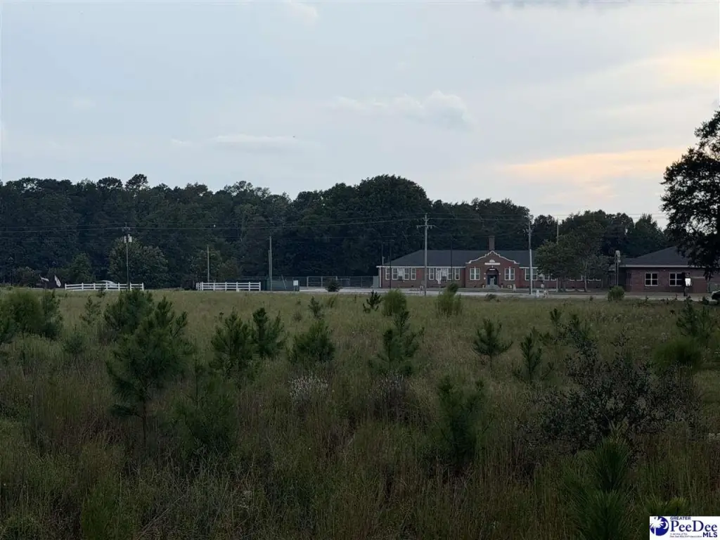 Picture 21
