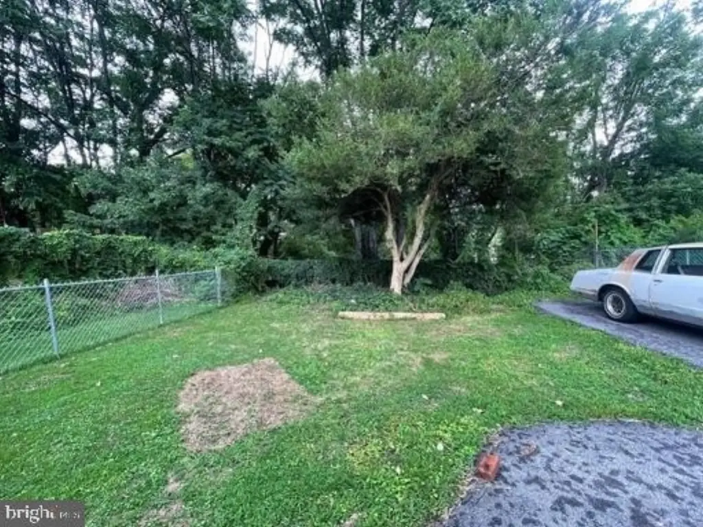 Picture 25