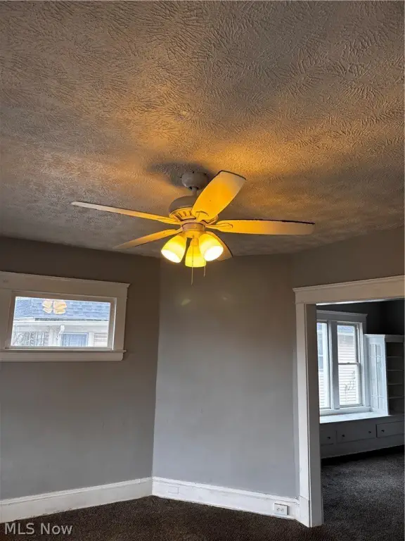 Picture 21