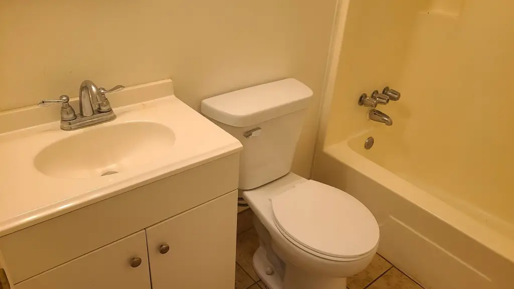 Picture 5