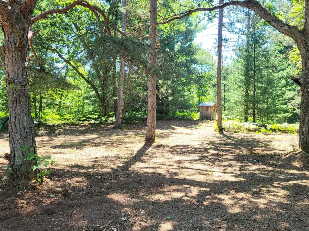 Picture 17