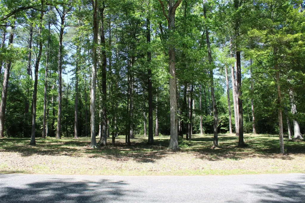 Picture 4