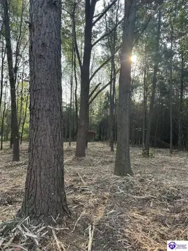 Residential Lot in Campbellsville, KY