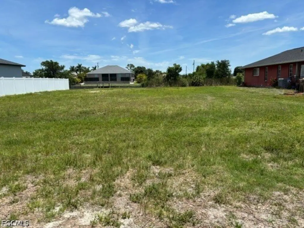 Picture 4