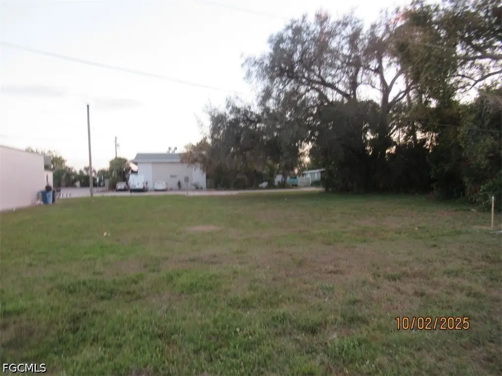 Picture 8