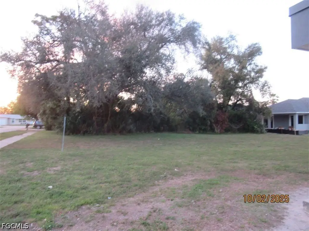 Picture 5