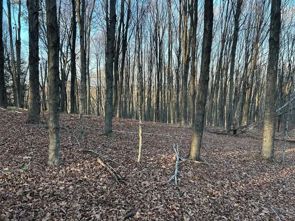 Picture 6
