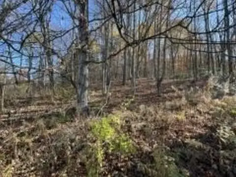 Recreational Land Near State Forest