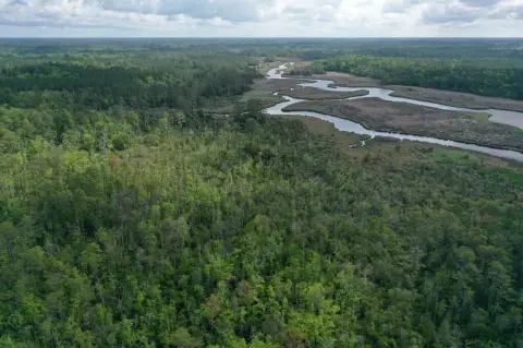 687 Acres Vacant Land, Grantsboro