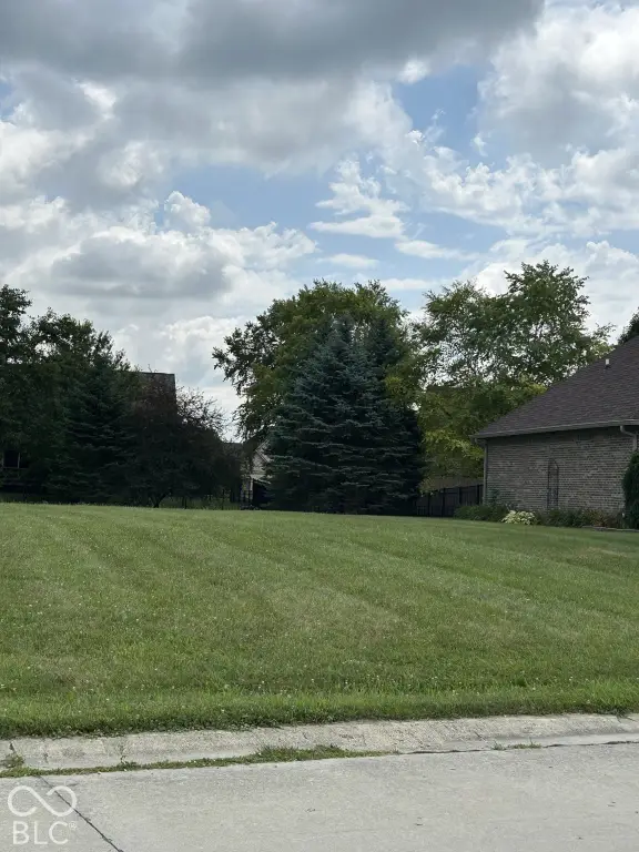Picture 5