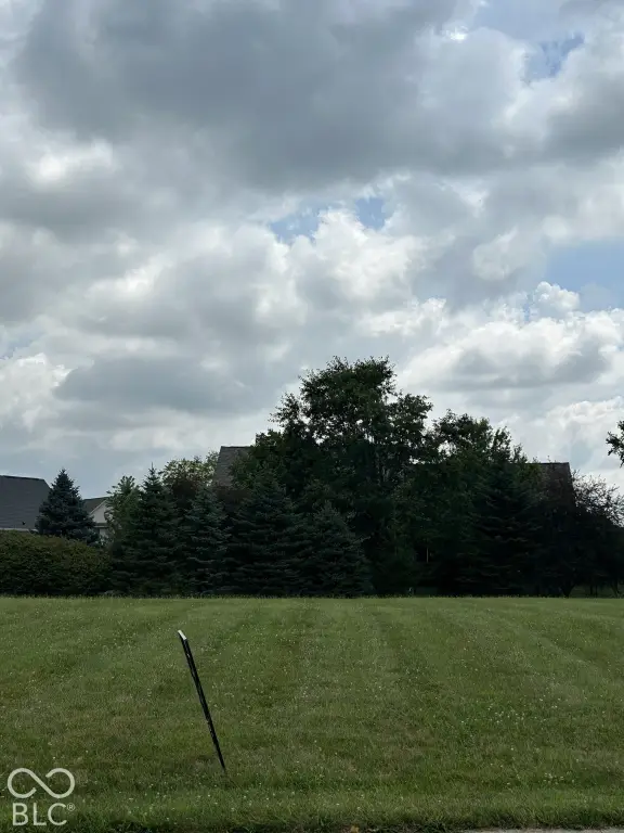 Picture 3