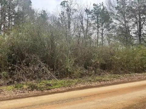 4 Acres in Shelby County