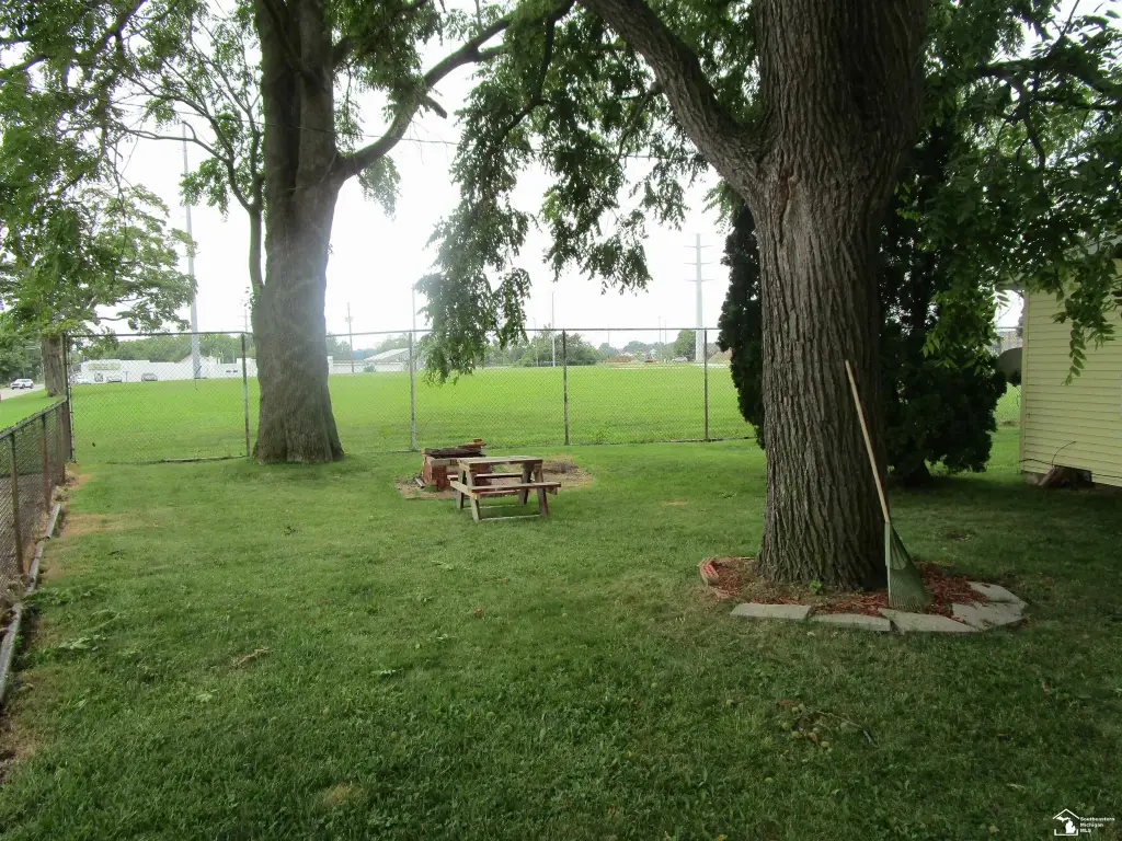 Picture 8