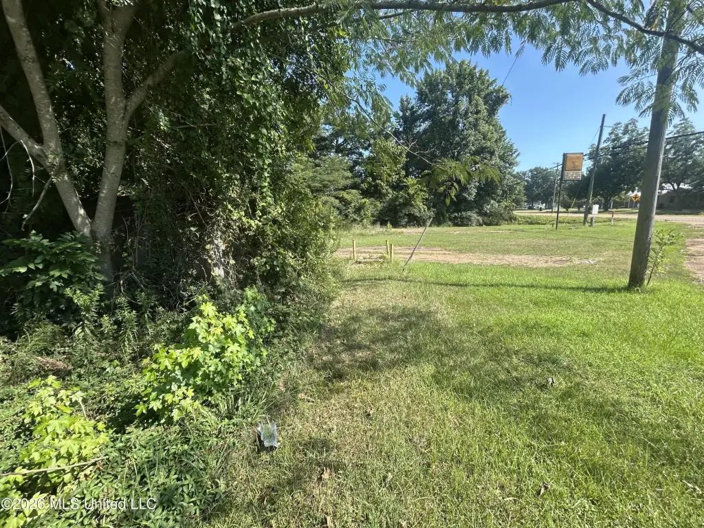 Picture 15