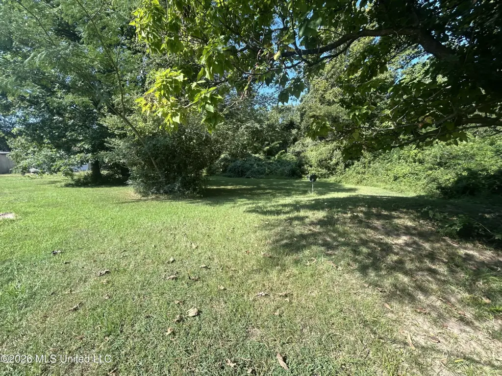 Picture 12