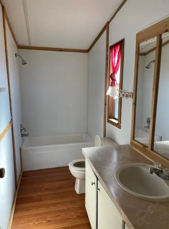 Picture 12