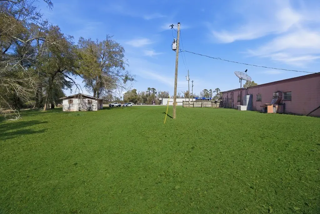 Picture 5