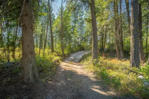Raw Wooded Hunting Land with Septic Approval