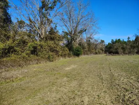 Residential Land in Cottonwood, AL