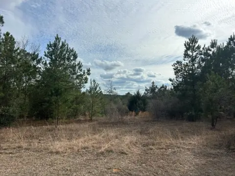 Ozark Residential Land Development Opportunity