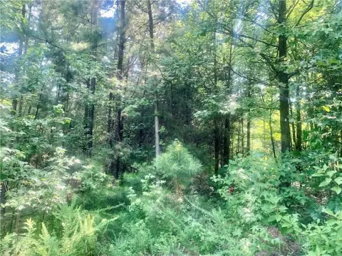 Dover, AR Land Opportunity