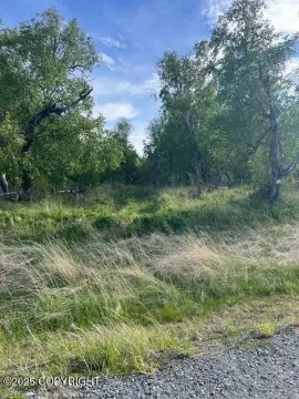 Wooded Lot in Palmer, AK