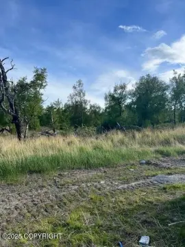 Residential Land in Cedar Park