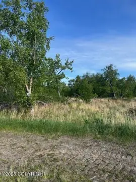 Residential Land in Palmer, Alaska
