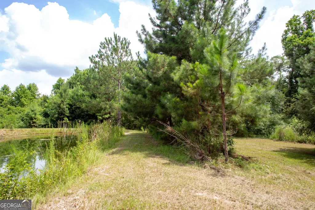 Picture 26