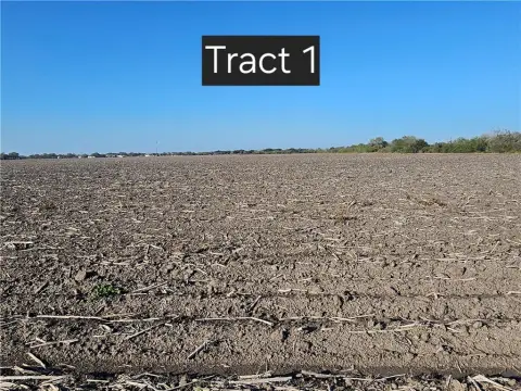 Kingsville Land for Custom Home