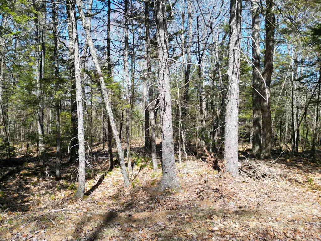 Picture 14