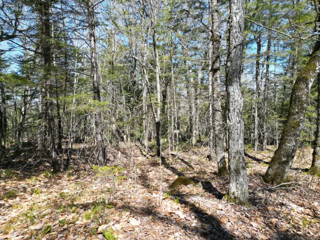 Picture 15