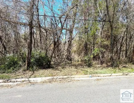 Residential Land in Martinsville, VA