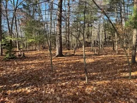 Land in Montague, Michigan