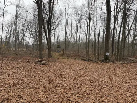 Wooded Land Parcel in Grass Lake