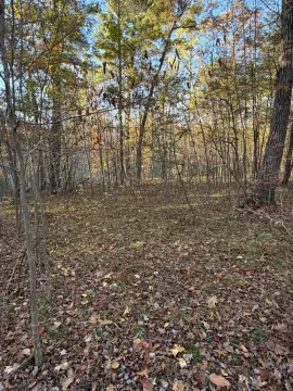 Howard City Wooded Land Parcel