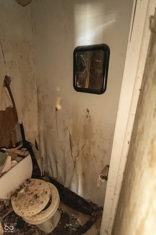 Picture 12