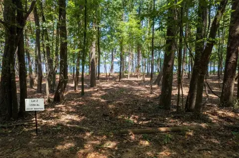 Waterfront Land with Lake Frontage