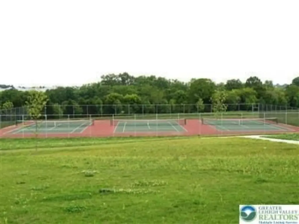 Picture 17