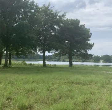 Waterfront Estate Land with Intracoastal Frontage