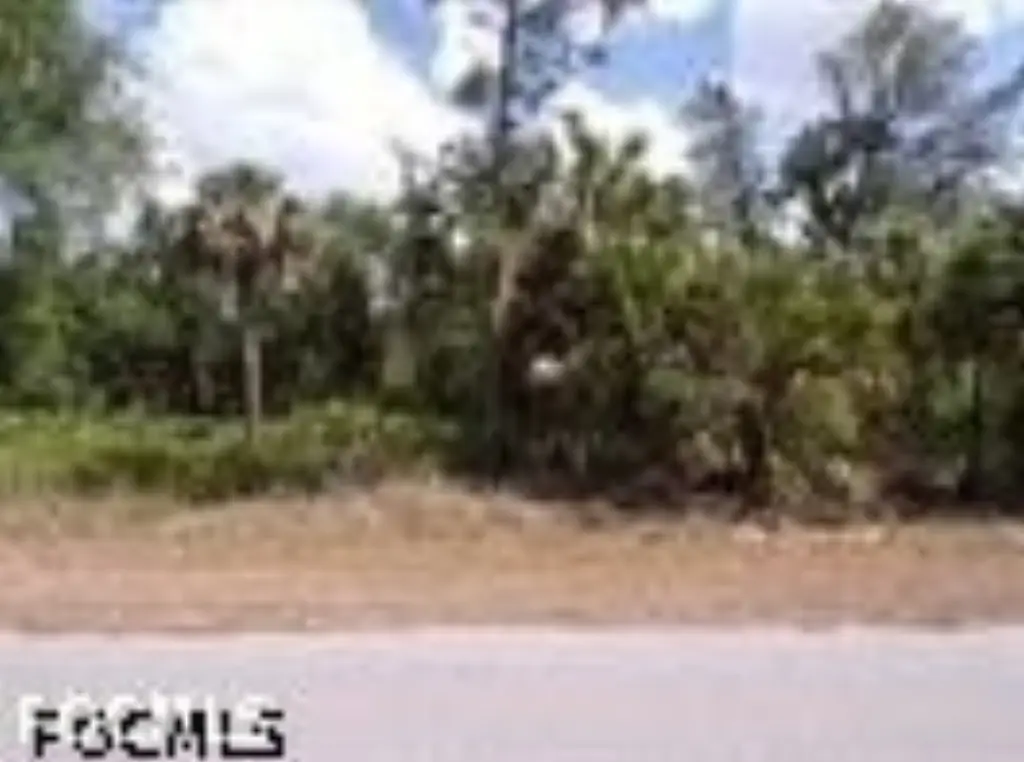 Picture 3