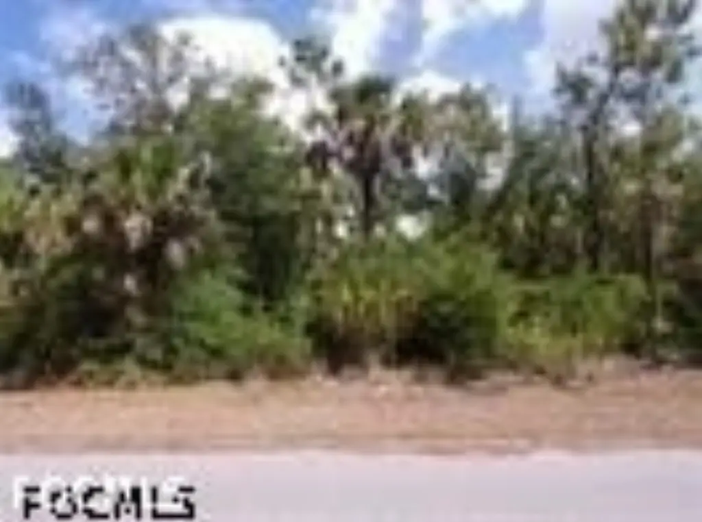 Picture 7