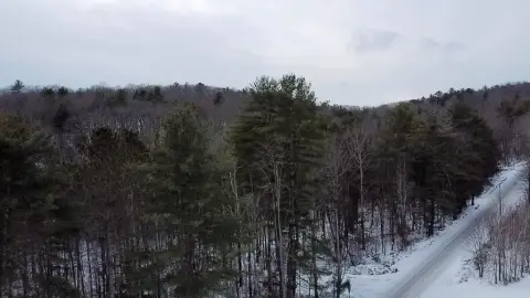 Undeveloped Land in Tioga, PA