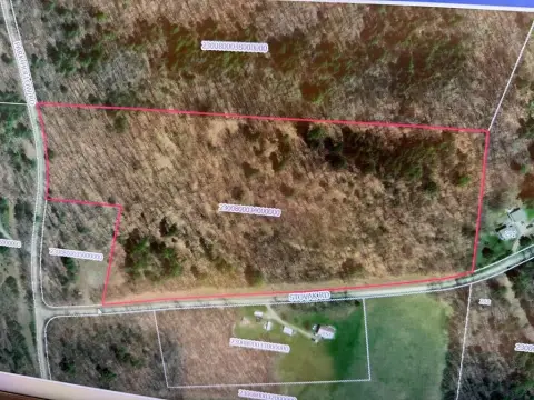 Undeveloped Land for Recreation/Hunting