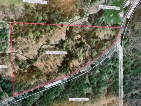 Vacant Land in Litchfield Township